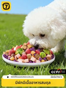 7o | Training Reward Pet Snack Freeze-dried Kale