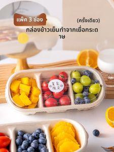 MEIDI | Disposable Paper Pulp Meal Box Eco-Friendly
