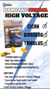 KAMLANG DJALOE HIGH VOLTAGE - nafas panjang dan mental bagus untuk ayam