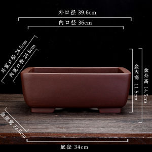 Purple Sand Flower Pot Large Boutique Manger Rectangular Balcony Florals Bonsai Banyan Asparagus Fern Absorbent Stone without Hole