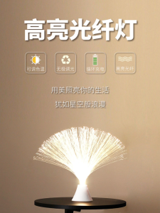 Internet Celebrity Optical Fiber Lamp: A Starry Atmosphere Bedroom Photography Luminaire