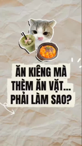 Lương Khô Ăn Kiêng Happy Life Nén Phù Hợp Người Ăn Kiêng