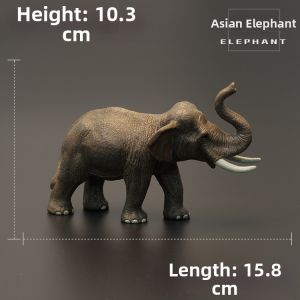 MENGSILE | Solid Realistic Animal Toy Set