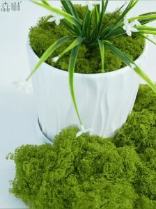Simulated Moss Landscaping Fake Moss Turf Green Plants Micro-landscape Decoration Artificial Bionic Lawn