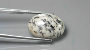 10.05 ct พลอยดิบ แจสเปอร์ ทรงไข่หลังเบี้ย ขาว ดำ แอฟริกา