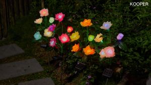 Buy 1 Take 1 Solar Rose Light & LED Outdoor Waterproof IP65 Garden Light