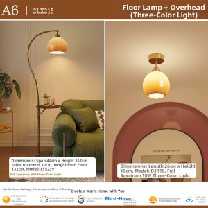 French Vintage Cream Style Floor Lamp