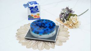 Nutrijell Ekonomis 10g Agar agar Jelly Rasa Blueberry