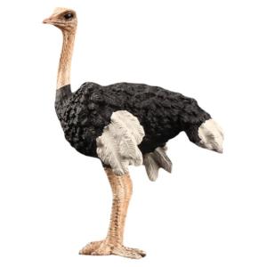 Educational Early Learning Toy Realistic Ostrich Model