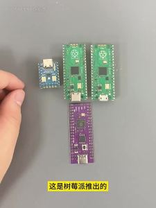 TOUGLESY | Raspberry Pi Compatible MicroPython Supported Development Board