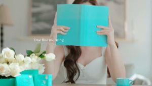Softlens warna X2 Sanso Colour Bulanan Cloudy Grey