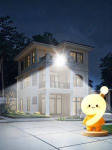 jiuxin lighting | High Brightness Solar Outdoor Light