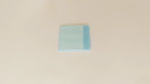 Ecoplanet 100pcs Pet Pee Pads for Dog Pee Pad Pet Training Pads for DogTraining Potty Cat Pee Pad