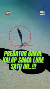Umpan Pancing Soft Lure Paddle Tail Riptide Yummy Berat 2.3 Gr Panjang 7 Cm Victoria Fishing