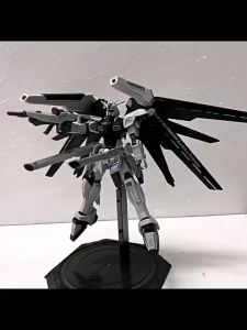 raid freedom 1/144 HG SCALE BUILD VARIATION Black Strike Freedom Gundam