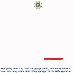 CANXI BO SỮA 79 (500ml) | Hạn chế rụng trái nứt trái bó trái lên màu đẹp