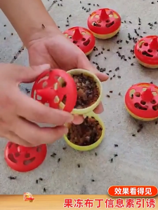 Japan Fruit Fly Bait Sticks and Fly Killers small flying insect nemesis killing artifact fly trap fly killer reusable