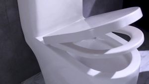 Hình chữ V/U Nắp bồn cầu nhựa Nhựa Trắng lắp bồn vệ sinh  chất liệu nhựa bền chắc dễ lắp đặtRơi Êm Cao Cấp Phù Hợp hầu hết các loại bồn cầu Bộ nắp bàn cầu nhà vệ sinh bằng nhựa cao cấp.