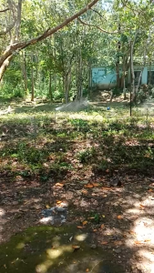 Béc tưới cánh đập lớn 2 tia B-905 Super tưới 360 độ kiểu Taiwan ren trong 34 màu đen và xanh lá