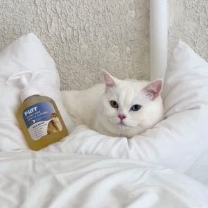 PURR Short Hair Gentle Cat Shampooแชมพูสำหรับน้องแมว สูตรอ่อนโยนพิเศษ