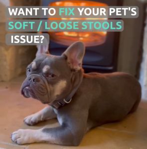 FURMENT Complete Powder I Pet Dietary Supplement I Support Healthy Gut Microbiome and Boosts Immunity (50g or 200g) (200g)