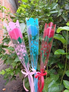 Bunga mawar besar panjang cocok untuk acara hari guru/perpisahan/wisuda/hadiah ulta/souvenir/hampers dll