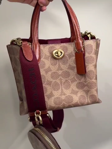 bag official store original bags for women Crossbody bag Willow series new tote bag Handbag CW550 Size: 18*14*10cm