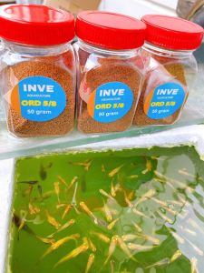 3 hủ Cám Thái Inve 5/8 1 Hủ 50g Thức Ăn Cá Cảnh Cám Cá Con Cá 7 Màu Betta cá thủy sinh