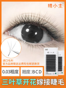 Sunny Little Master 0.03 Cỏ Ba Lá Lông Mi Giả Dày Đặc Tự Nhiên Chất Lượng Cao Cấp Thiết Kế Ba Lá Dành Cho Thẩm Mỹ Viện Chuyên Nghiệp Sử Dụng