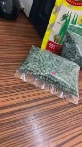 Agrojaya 551 Hybrid Okra Green Tortofo Selected Quality Seeds Since 1936.