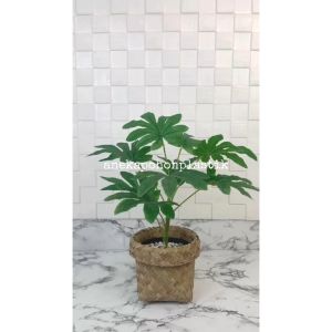 Pohon Artificial Daun Aralia X9 Semilatex Pot Dasar Hitam Cover Purun Coklat Anyaman Dekorasi Rumah