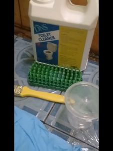 Pembersih Kamar Mandi Efektif: DNS Clean Toilet Cleaner 1 Liter