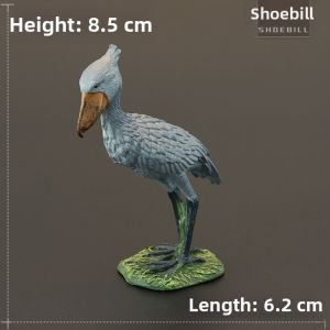 MENGSILE | Educational Display Animal Toy Model