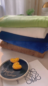 Microfiber Blanket Plain Color Blanket Super Soft Warm Plush Blanket Queen Size Soft Sofa Kumot