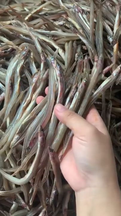 1 KG KHÔ CÁ LOI CHOI ĐẶC SẢN CÀ MAU, MỒI BÉM BÀN NHẬU- Vựa Khô Minh Triết
