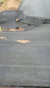 50M Garden Weed Barrier Fabric: High Performance & Heavy Duty