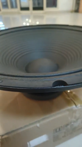 Speaker Komponen Peavey Pro Rider 18 Inch 1000 Watt magnet besar