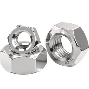 TIANZHUOJINSHU | Stainless Steel Nut M2 M160