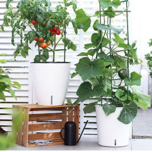 Self Watering Planter Flower Pots Multicolor Balcony Garden Plant Planter Baskets Fence Bucket Pots