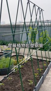 MonetGarden 60-180cm Thickness 8-16mm Horticultural Plant Support Bracket - Ideal for Plant Growth and Stability