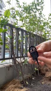 Rọ Đựng Phân Tan Chậm giỏ đựng R3xC5cm Dụng Cụ Làm Vườn Cắm Chậu Tiện Lợi Tiết Kiệm Phân Bón Dễ Sử Dụng