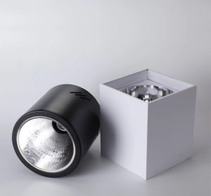 【COD & Ready 】Rohstar Square Surface E27 3.5”4” 5“ 6” Mounted downlight black and white casing