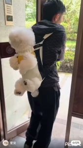 Địu Mèo - Địu Chó - Balo Đựng Chó Mèo Đi Chơi - Địu Thú Cưng Đi Dạo Dễ Thương Tiện Lợi