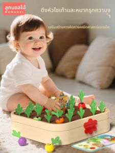 MWZ | Educational Fine Motor Skills Toy Set for 1-2 Year Olds