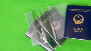 Combo bao passport (hộ chiếu) nhựa dẻo trong PVC - Bao bì Hiếu