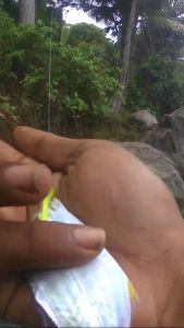 3 Buah Softlure Ajing Game Umpan Casting Baby GT Viral