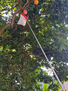 🔔ส่งฟรี🔔ตระกร้อสอยผลไม้(ผ้าสีขาว) ตระกร้อสอยผลไม้ ที่สอยผลไม้ ทีเก็บผลไม้ ตระกร้อ🍐🍐