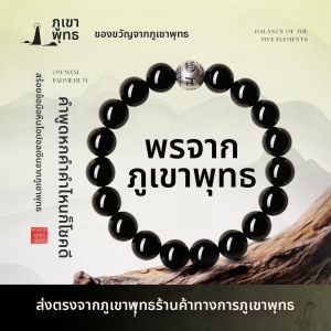 PUTUOSHAN | Natural Black Obsidian Good Luck Bracelet Pure Silver Gift