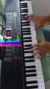 REVO BD-663 61-Key Digital Electric Keyboard 200 Tones & 200 Rhythms with Complete Accessories