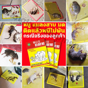 กาวดักหนู 100% MSW สำหรับนอกจากหนีไม่พ้น แบบสำเร็จรูป กาวดักหนู ซื้อ1แถม10 อุปกรณ์กำจัดหนูมืออาชีพยี่ห้อเก่ากว่า 30 ปี คุณภาพสูง กาวนำเข้าจากเยอรมัน เป็นหนูแน่นๆ เหนียวสุดๆ รวมถัดไป กระดาษหนาขึ้นใหญ่ ไม่ต้องเสียเวลาต้องด่าน ที่มีคุณภาพสูง